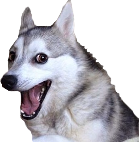 pun_dog emote