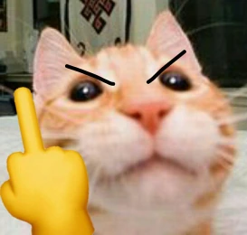 cat_middle_finger emoji