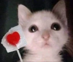 luv emote