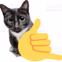 callmecat emote
