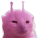 plorp emote