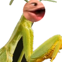 PagMantis emote