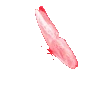 dp_butterfly emote