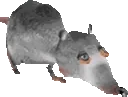 jermaRatdance emoji