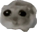 ohFinger emote