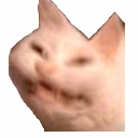 CatCreep emote