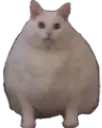 chonk emote