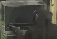 Lootge emote