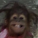 SmileMoneky static emote