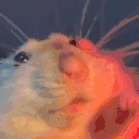 RatDance emote