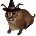 Floppa emote