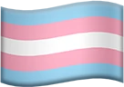 transgender_flag emote