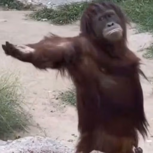 Gimmie emote