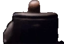 wingsSpin emote