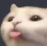 cattongue emote