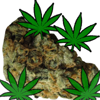 maconha emote