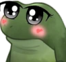 worryShy emote