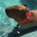 ChillinPool emoji