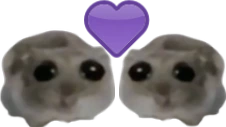 ohmies emote
