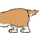 corgitail emote
