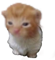 ewbert emote