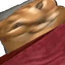 floppabed emoji