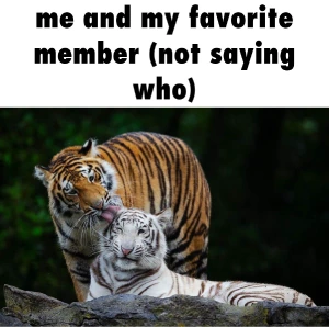 Friendship emote