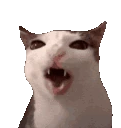 cronchycat emoji