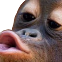 monkeKiss emote