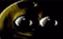 sexom emote