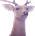 deer_stare emoji
