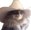 Meowdy emote