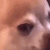 Looking_upset emote