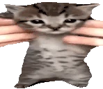 wigglecat emoji