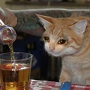 CE_SadDrinking emote