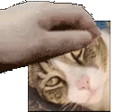 Petpetkz emote