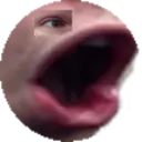 VisMan