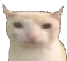 Cat emote