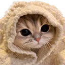 catComfy emote
