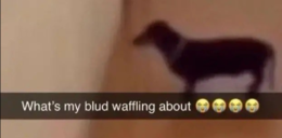 waffling static emote