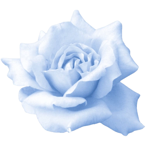blue_rose emote