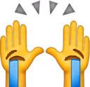 raised_sobbing_hands emote