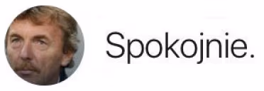 spokojnie emote