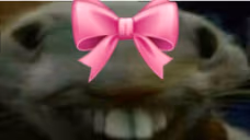 xppcute emote