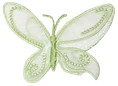 Green_butterfly emote