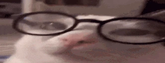 plinkNerd emote