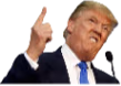 Trump emote