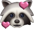 Lovey_Raccoon emote