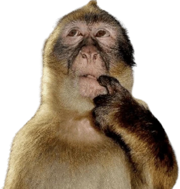 monkeythink sticker