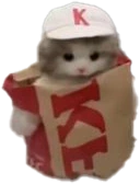 CuteKFCCat emote